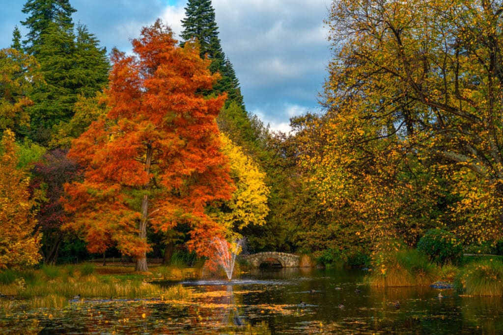 queenstown-gardens-autumn-display-queenstown-photo-spot-1024x683